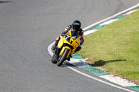 Inter Group Green/Yellow Bikes