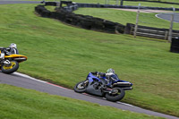 anglesey;brands-hatch;cadwell-park;croft;donington-park;enduro-digital-images;event-digital-images;eventdigitalimages;mallory;no-limits;oulton-park;peter-wileman-photography;racing-digital-images;silverstone;snetterton;trackday-digital-images;trackday-photos;vmcc-banbury-run;welsh-2-day-enduro