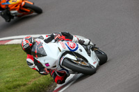 anglesey;brands-hatch;cadwell-park;croft;donington-park;enduro-digital-images;event-digital-images;eventdigitalimages;mallory;no-limits;oulton-park;peter-wileman-photography;racing-digital-images;silverstone;snetterton;trackday-digital-images;trackday-photos;vmcc-banbury-run;welsh-2-day-enduro