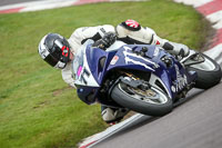 anglesey;brands-hatch;cadwell-park;croft;donington-park;enduro-digital-images;event-digital-images;eventdigitalimages;mallory;no-limits;oulton-park;peter-wileman-photography;racing-digital-images;silverstone;snetterton;trackday-digital-images;trackday-photos;vmcc-banbury-run;welsh-2-day-enduro