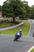 anglesey;brands-hatch;cadwell-park;croft;donington-park;enduro-digital-images;event-digital-images;eventdigitalimages;mallory;no-limits;oulton-park;peter-wileman-photography;racing-digital-images;silverstone;snetterton;trackday-digital-images;trackday-photos;vmcc-banbury-run;welsh-2-day-enduro