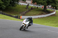 anglesey;brands-hatch;cadwell-park;croft;donington-park;enduro-digital-images;event-digital-images;eventdigitalimages;mallory;no-limits;oulton-park;peter-wileman-photography;racing-digital-images;silverstone;snetterton;trackday-digital-images;trackday-photos;vmcc-banbury-run;welsh-2-day-enduro