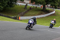 anglesey;brands-hatch;cadwell-park;croft;donington-park;enduro-digital-images;event-digital-images;eventdigitalimages;mallory;no-limits;oulton-park;peter-wileman-photography;racing-digital-images;silverstone;snetterton;trackday-digital-images;trackday-photos;vmcc-banbury-run;welsh-2-day-enduro