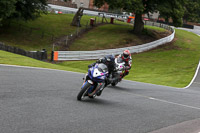 anglesey;brands-hatch;cadwell-park;croft;donington-park;enduro-digital-images;event-digital-images;eventdigitalimages;mallory;no-limits;oulton-park;peter-wileman-photography;racing-digital-images;silverstone;snetterton;trackday-digital-images;trackday-photos;vmcc-banbury-run;welsh-2-day-enduro