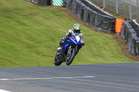 anglesey;brands-hatch;cadwell-park;croft;donington-park;enduro-digital-images;event-digital-images;eventdigitalimages;mallory;no-limits;oulton-park;peter-wileman-photography;racing-digital-images;silverstone;snetterton;trackday-digital-images;trackday-photos;vmcc-banbury-run;welsh-2-day-enduro
