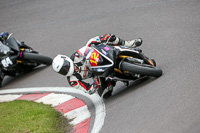 anglesey;brands-hatch;cadwell-park;croft;donington-park;enduro-digital-images;event-digital-images;eventdigitalimages;mallory;no-limits;oulton-park;peter-wileman-photography;racing-digital-images;silverstone;snetterton;trackday-digital-images;trackday-photos;vmcc-banbury-run;welsh-2-day-enduro