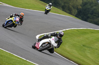 anglesey;brands-hatch;cadwell-park;croft;donington-park;enduro-digital-images;event-digital-images;eventdigitalimages;mallory;no-limits;oulton-park;peter-wileman-photography;racing-digital-images;silverstone;snetterton;trackday-digital-images;trackday-photos;vmcc-banbury-run;welsh-2-day-enduro