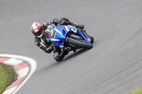 anglesey;brands-hatch;cadwell-park;croft;donington-park;enduro-digital-images;event-digital-images;eventdigitalimages;mallory;no-limits;oulton-park;peter-wileman-photography;racing-digital-images;silverstone;snetterton;trackday-digital-images;trackday-photos;vmcc-banbury-run;welsh-2-day-enduro
