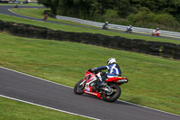 anglesey;brands-hatch;cadwell-park;croft;donington-park;enduro-digital-images;event-digital-images;eventdigitalimages;mallory;no-limits;oulton-park;peter-wileman-photography;racing-digital-images;silverstone;snetterton;trackday-digital-images;trackday-photos;vmcc-banbury-run;welsh-2-day-enduro