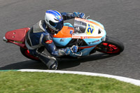 Fast Group Blue/White Bikes