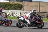 Inter Group Multicolour Bikes