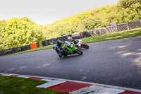 cadwell-no-limits-trackday;cadwell-park;cadwell-park-photographs;cadwell-trackday-photographs;enduro-digital-images;event-digital-images;eventdigitalimages;no-limits-trackdays;peter-wileman-photography;racing-digital-images;trackday-digital-images;trackday-photos