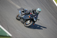 Novice Black/Silver Bikes
