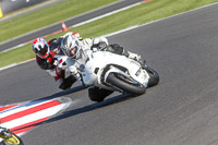 Fast Blue/White Bikes