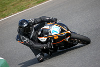 Novice Black Bikes