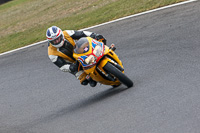 Fast/Inter Yellow Bikes