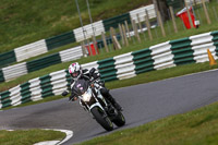 Inter/Novice White Bikes