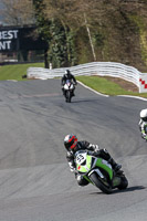 Fast Group Green Bikes