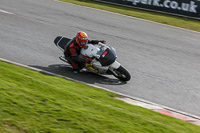 Fast Group White Bikes