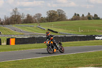 Novice Group Orange Bikes