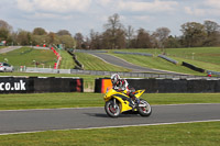 anglesey;brands-hatch;cadwell-park;croft;donington-park;enduro-digital-images;event-digital-images;eventdigitalimages;mallory;no-limits;oulton-park;peter-wileman-photography;racing-digital-images;silverstone;snetterton;trackday-digital-images;trackday-photos;vmcc-banbury-run;welsh-2-day-enduro