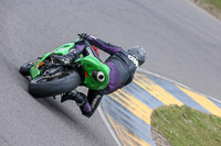 Fast Green Bikes