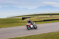 Novice Multicolour Bikes