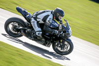 Novice Black Bikes