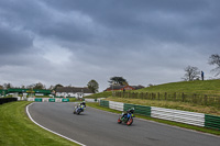 Inter Blue Bikes