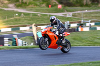 Evening Fast/Inter Orange Bikes