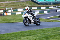 Evening Fast/Inter White Bikes