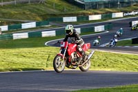 Evening Novice/Inter Group