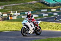 Evening Novice/Inter Group