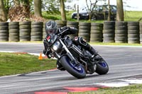 Fast Black Bikes