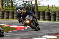 Novice Black Bikes