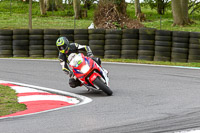 cadwell-no-limits-trackday;cadwell-park;cadwell-park-photographs;cadwell-trackday-photographs;enduro-digital-images;event-digital-images;eventdigitalimages;no-limits-trackdays;peter-wileman-photography;racing-digital-images;trackday-digital-images;trackday-photos