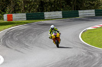 Fast Yellow Bikes