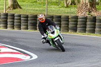 Novice Green Bikes