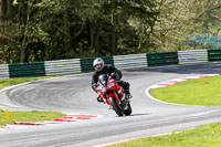 Novice Red Bikes