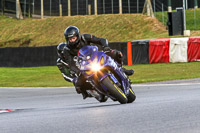 Evening Fast/Inter Blue Bikes