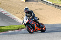 Evening Fast/Inter Orange Bikes