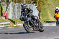 Fast Group