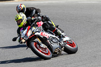 Fast Silver/Grey Bikes