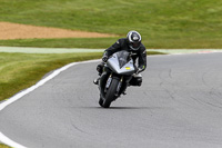 Inter Group 1 Silver/Grey Bikes