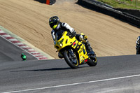 brands-hatch-photographs;brands-no-limits-trackday;cadwell-trackday-photographs;enduro-digital-images;event-digital-images;eventdigitalimages;no-limits-trackdays;peter-wileman-photography;racing-digital-images;trackday-digital-images;trackday-photos