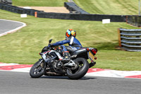 Novice Black Bikes