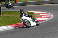 Novice White Bikes