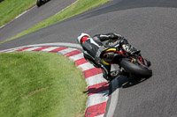 cadwell-no-limits-trackday;cadwell-park;cadwell-park-photographs;cadwell-trackday-photographs;enduro-digital-images;event-digital-images;eventdigitalimages;no-limits-trackdays;peter-wileman-photography;racing-digital-images;trackday-digital-images;trackday-photos