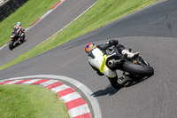 cadwell-no-limits-trackday;cadwell-park;cadwell-park-photographs;cadwell-trackday-photographs;enduro-digital-images;event-digital-images;eventdigitalimages;no-limits-trackdays;peter-wileman-photography;racing-digital-images;trackday-digital-images;trackday-photos