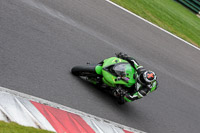 Fast Green Bikes